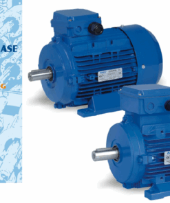 Motor Eléctrico Trifásico