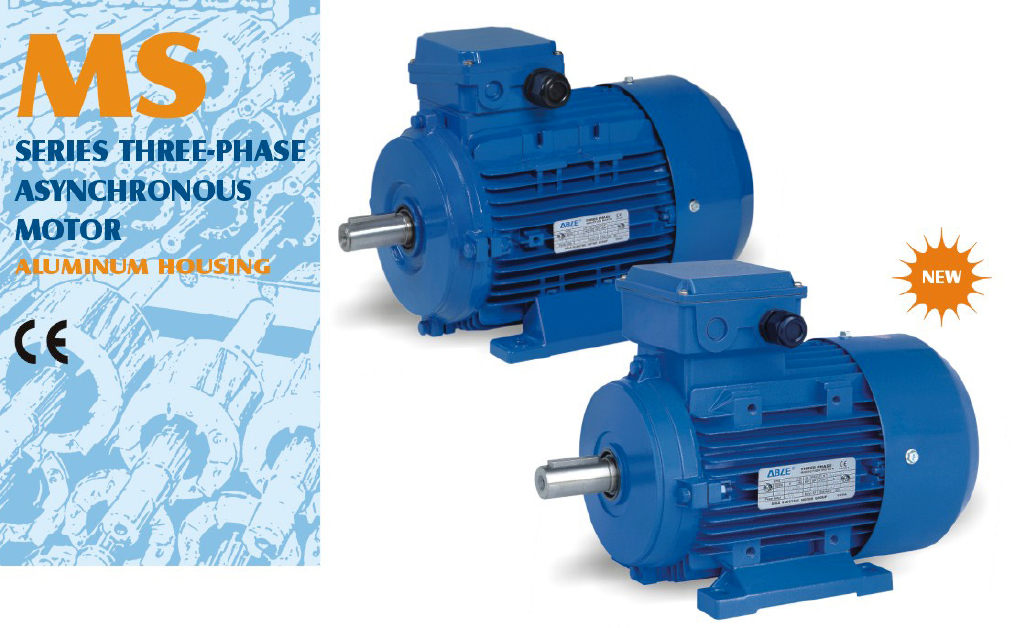 Motor Eléctrico Trifásico