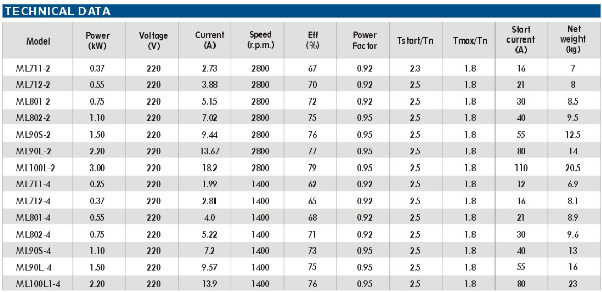 Motor Eléctrico Monofásico - Imagen 2