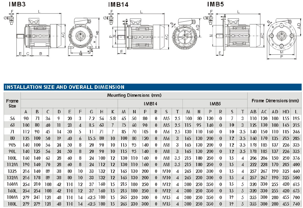 Motor Eléctrico Trifásico - Imagen 2